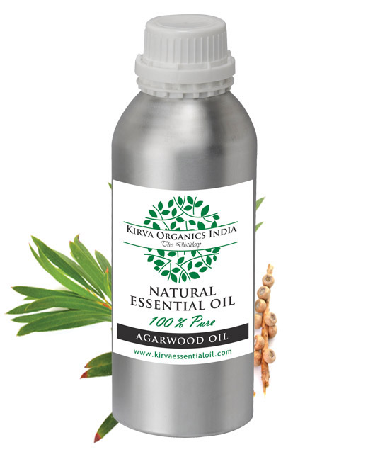 EUCALYPTUS OIL - Kirva Organics India